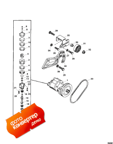 Sea Water Pump Assembly (Sea   Assembly)