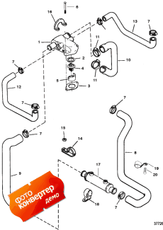 Standard Cooling System (5.7l/5.7lx Alpha) (  System (5.7l / 5.7lx Alpha))