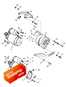 Starter And Alternator (  )