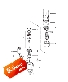 Starter Motor ( )