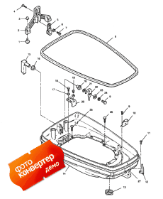 Support Plate (Sport )