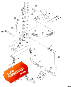 Thermostat Housing And Water Hoses (    s)