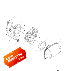 Throttle Body, Digital Throttle-shift ( ,  -)