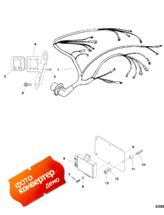 Wiring Harness And Electrical Components (Wi     )