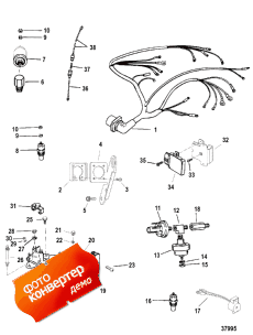 Wiring Harness And Electrical Components (Wi     )