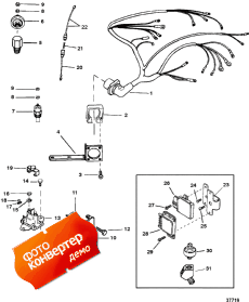 Wiring Harness And Electrical Components (Wi     )