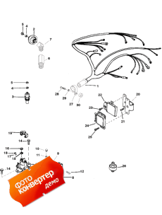 Wiring Harness And Electrical Components (Wi     )