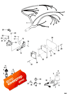 Wiring Harness And Electrical Components (Wi     )