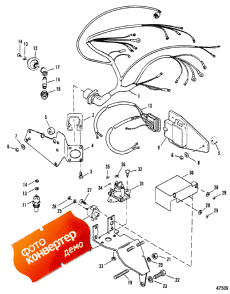 Wiring Harness And Electrical Components (exhaust Below) (Wi      ( ))