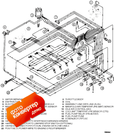 Wiring Harness (efi) (Wi   (efi))