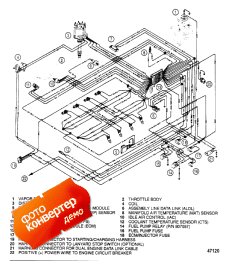 Wiring Harness (efi) (Wi   (efi))