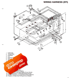 Wiring Harness (efi) (Wi   (efi))