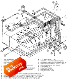 Wiring Harness (efi) (Wi   (efi))