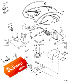 Wiring Harness, Electrical & Ignition (Wi  ,  & Ignition)