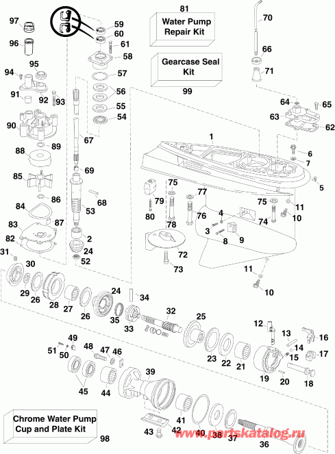   Evinrude E115DCXSCS  - arcase / arcase