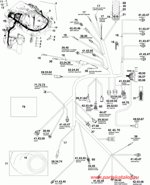    EVINRUDE E115DSLSCR  - ectrical   - ectrical Harness