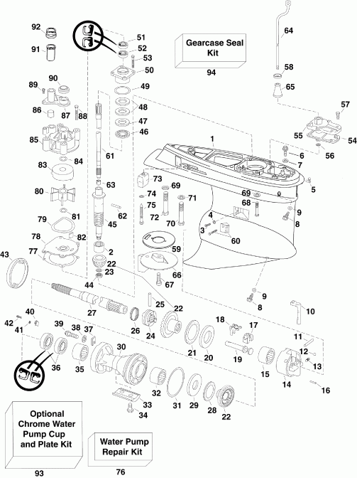 ��������� ��������� Evinrude E150DBXSCR  - arcase / arcase