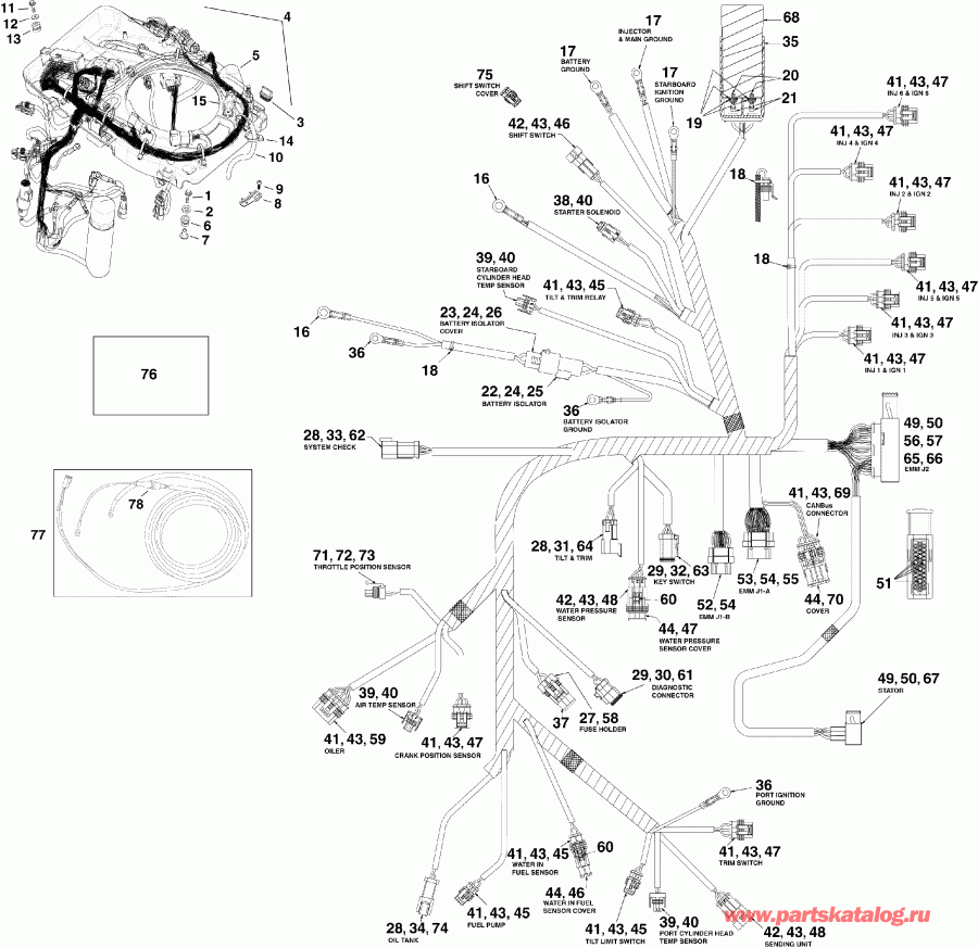    EVINRUDE E150DPLSCR  - ectrical   - ectrical Harness