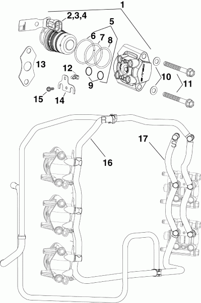  Evinrude DE300CZAAD  -   & Rails / fuel Injector & Rails