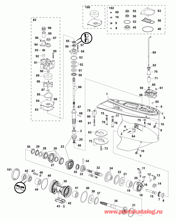   Evinrude E225DCXAAA  - gearcase, M2-type, Counter Rotation / , M2-type,  