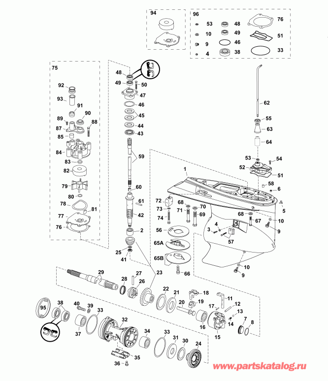 ����� EVINRUDE DE300PXABB  - gearcase, M2-type - ��������, M2-type