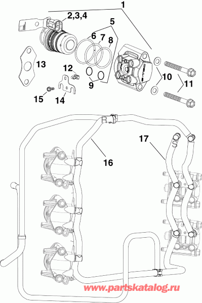 ��������� ����� ������� E300DGXABB  - ��������� �������� & Rails / fuel Injector & Rails