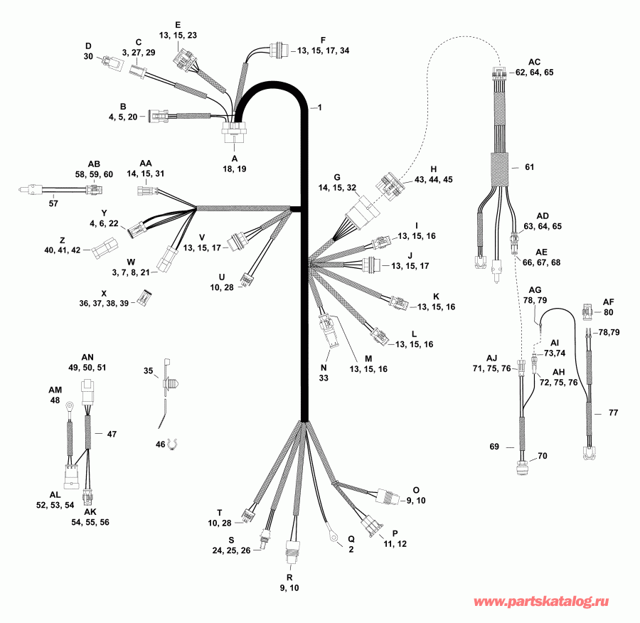 �������� ����� EVINRUDE E30DRSLABF  - electrical Harness - ��������� - ���� ��������