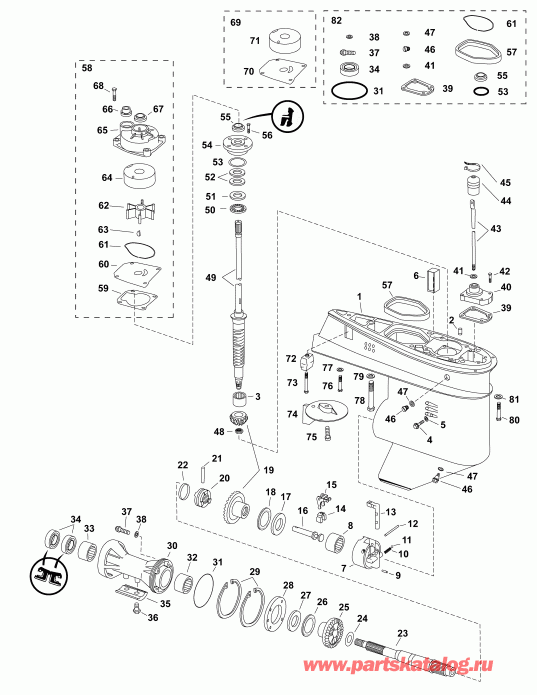  EVINRUDE E60DSLAFA  - gearcase, F-type