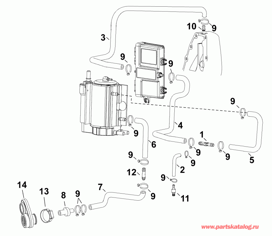 ��������� ��������� EVINRUDE E60DTLAFA  - ������ ���������� / cooling Hoses