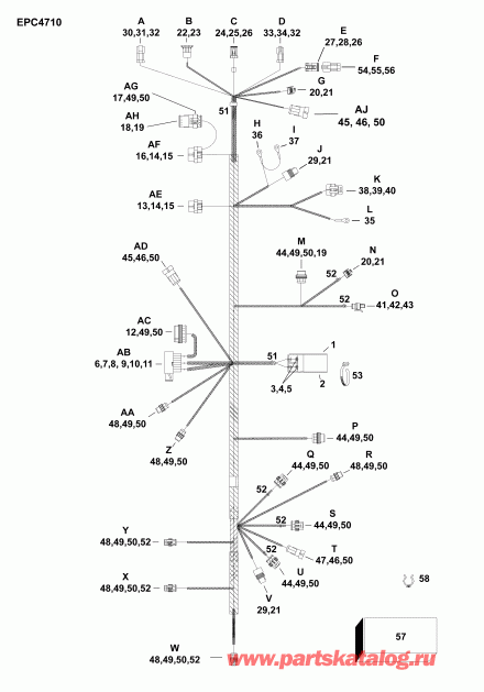    EVINRUDE E65SLAFC  -  -  