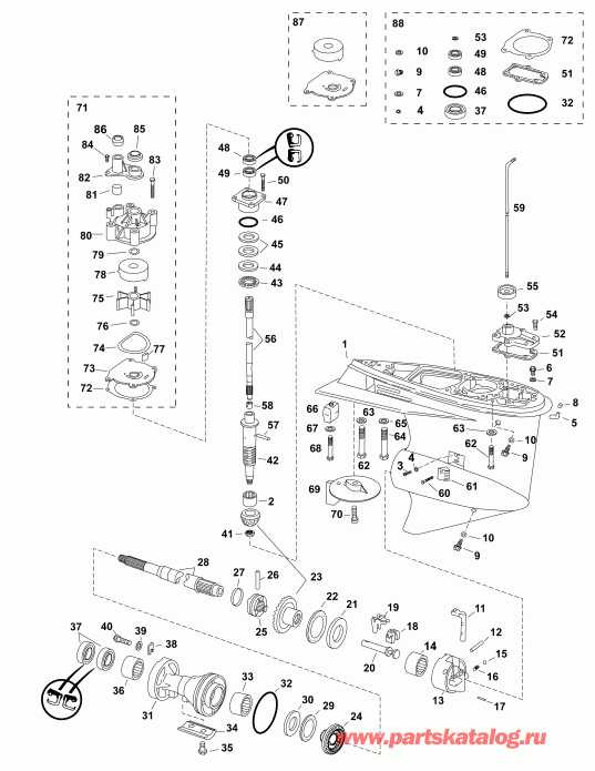    Evinrude E75DSLAFA  - gearcase, (0.50 Ratio) S-type - , (0.50 Ratio) S-type