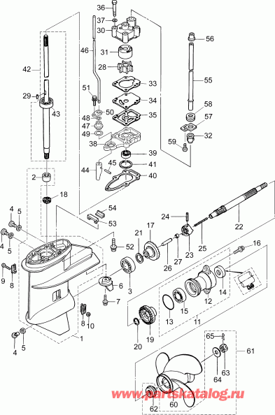 �������� ����� EVINRUDE E10RL4INS  - gearcase - ��������