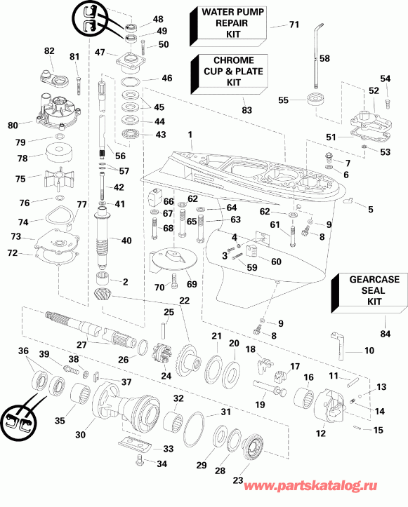  Evinrude E115DSLINE  - ype