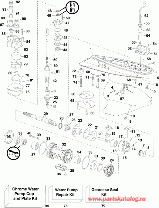    EVINRUDE E300DSLINA  - ype