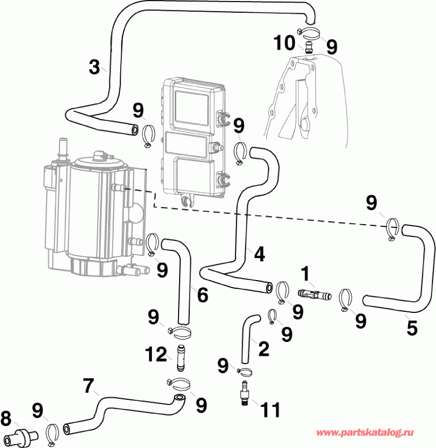 ��������� ����� EVINRUDE E40DHLINS - ITALY ONLY  - oling Hoses - oling �����s
