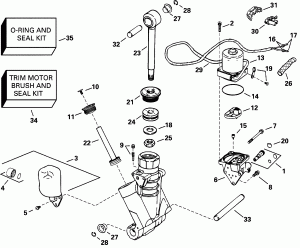    Hydraulic Assembly (Power Trim/tilt Hydraulic Assembly)