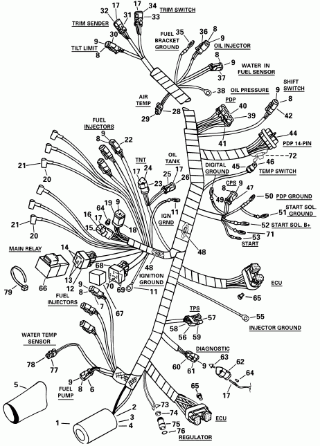 ��������� ����� Evinrude E135FCXSIF FFI, elec start, TNT, 25 in s  - tor ������ Assembly - tor Cable Assembly