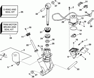    Hydraulic Assembly (Power Trim/tilt Hydraulic Assembly)