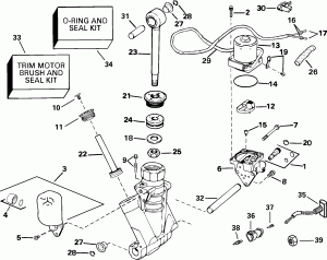    Hydraulic Assembly (Power Trim/tilt Hydraulic Assembly)