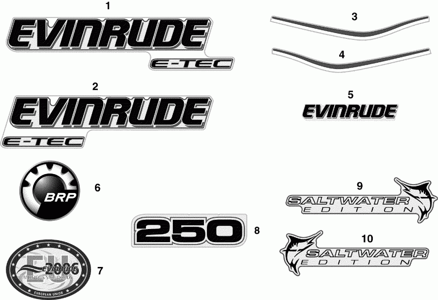 ����� EVINRUDE E250DCXSDR  - cals / cals
