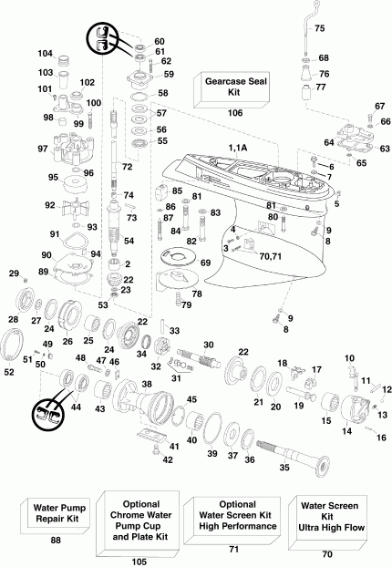  EVINRUDE E250DCXSDR  - arcase