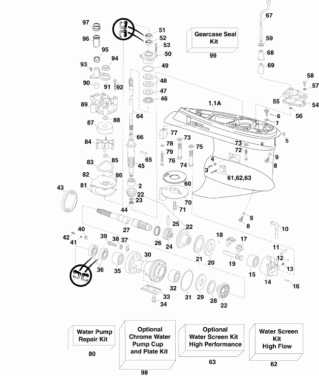�������� ��������� ����� Evinrude E250DPZSDR  - arcase / arcase