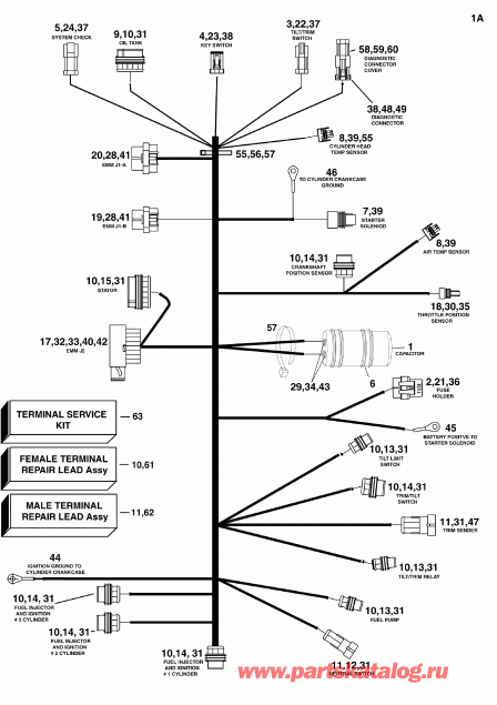 ��������� EVINRUDE E90DSLSDR  - gine ��������� - ���� �������� / gine Electrical Harness