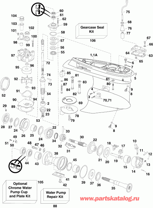 �������� ��������� ����� Evinrude E250DCZSUA  - arcase