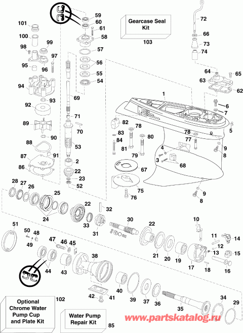 �������� ��������� ����� Evinrude E225DCZSCF  - arcase / arcase