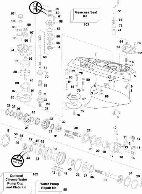 EVINRUDE E225DCZSCM  - arcase - arcase