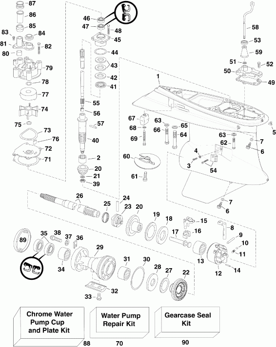  EVINRUDE E225DHLSCH  - arcase