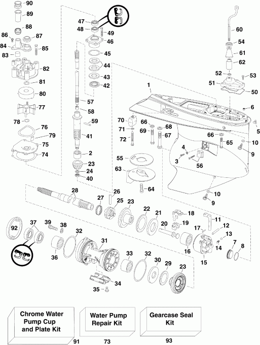 ����� Evinrude E225DPZSCG  - arcase