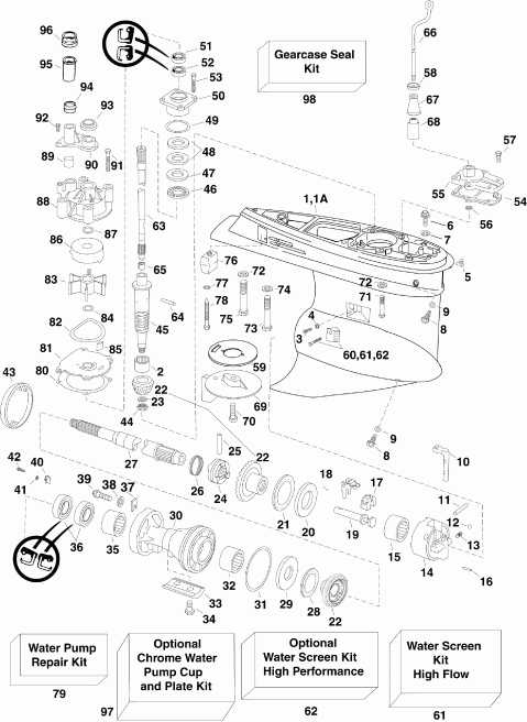 �������� ����� Evinrude E225DPZSCM  - arcase