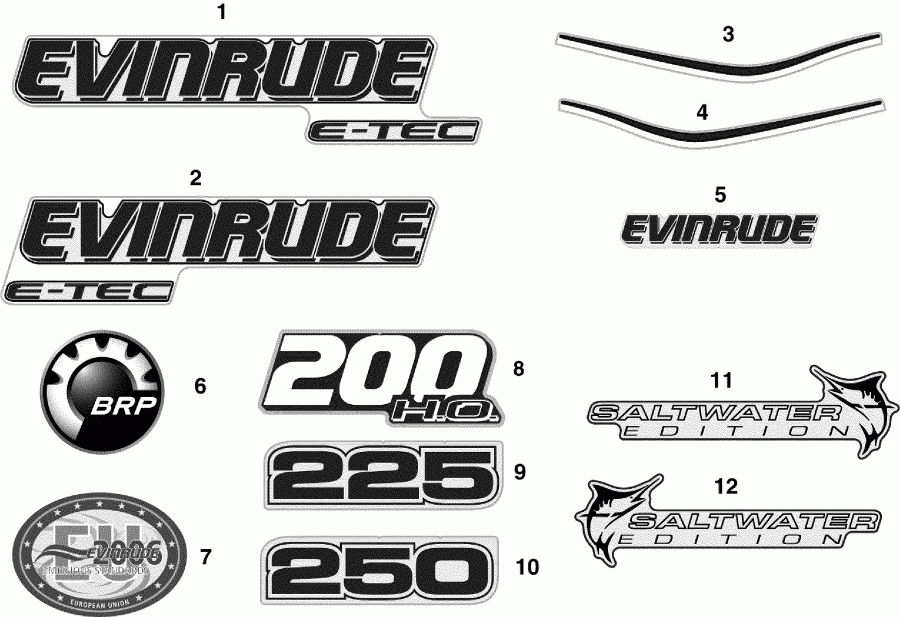    Evinrude E250DCXSCF  - cals / cals